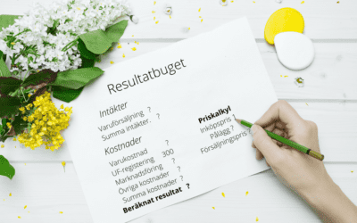 Hur gör man en resultatbudget?